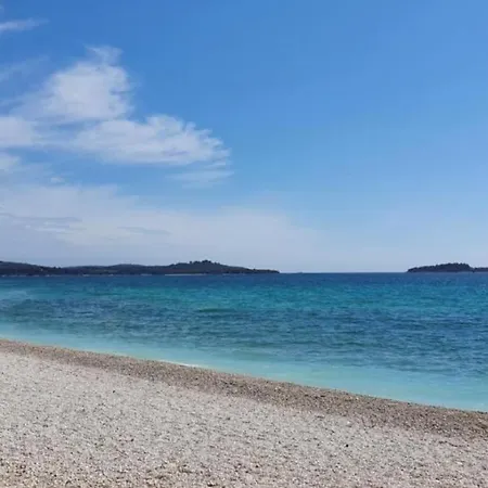Apartment Sea View 40m From The